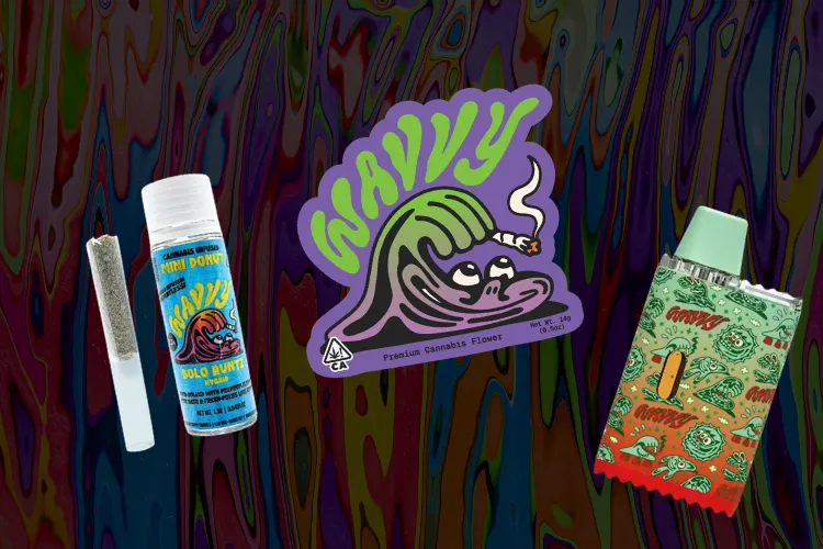 Wavvy 30% Off! by Wavvy, 30% OFF