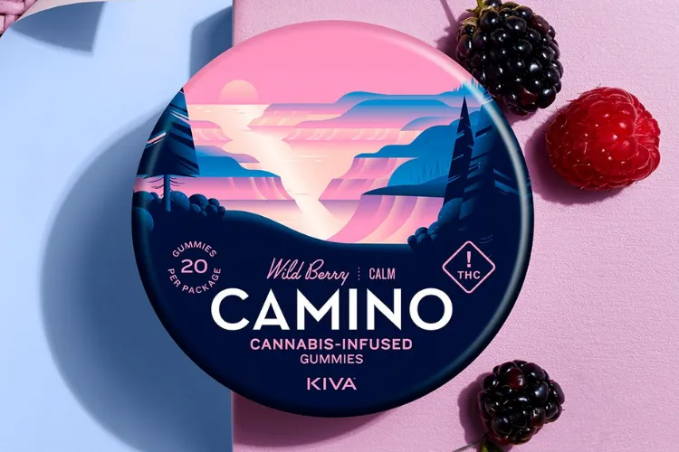 Camino BOGO AST  by Camino - Kiva, BOGO $1.00